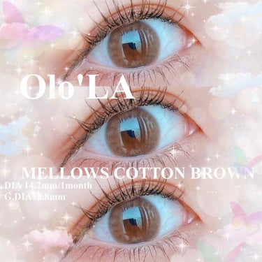メローズ(Mellows)/OLOLA/カラーコンタクトレンズを使ったクチコミ（1枚目）
