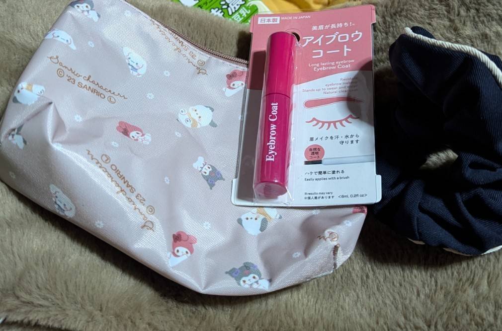 アイブロウコートDA/DAISO/アイブロウコートを使ったクチコミ（1枚目）