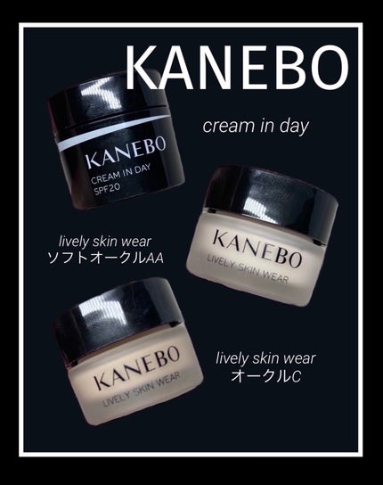 クリーム イン デイ/KANEBO/フェイスクリームを使ったクチコミ(1枚目)