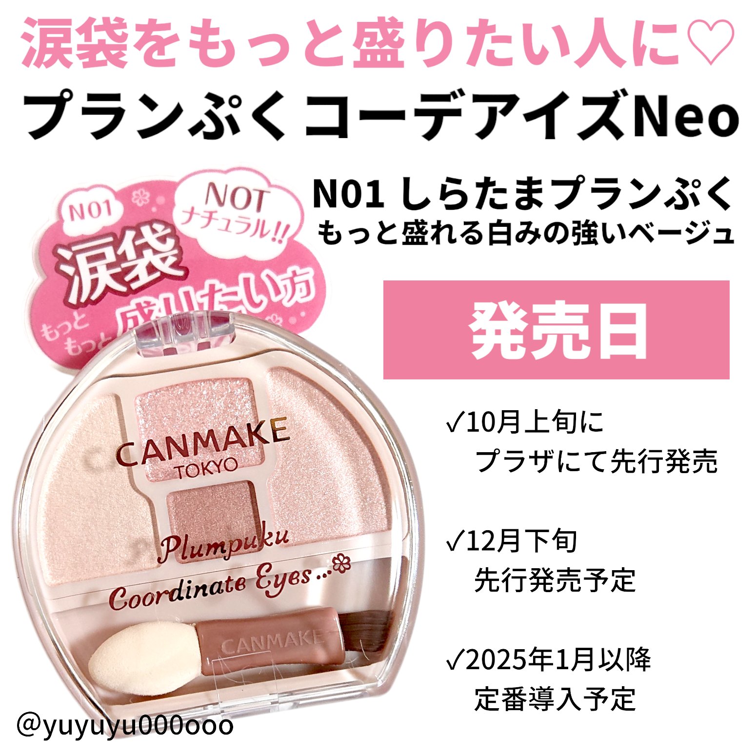 プランぷくコーデアイズ/キャンメイク/パウダーアイシャドウを使ったクチコミ（2枚目）