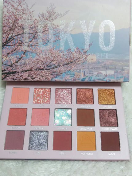 GO TRAVEL 15色アイシャドウパレット/FOCALLURE/アイシャドウパレットを使ったクチコミ(2枚目)