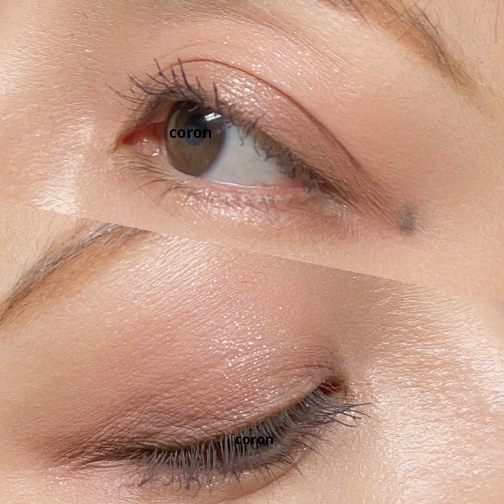 ホリデー アディクション ベースメイクアップ コレクション/ADDICTION/メイクアップキットを使ったクチコミ（2枚目）