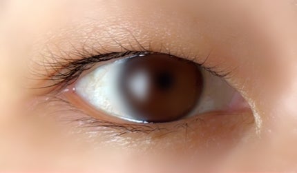 TWOOLããã«ã¢ã€ãªãããã€ããªãããã£ã«ã /SHOBIDO/äºéãŸã¶ãçšã¢ã€ãã ã䜿ã£ãã¯ãã³ãïŒ5æç®ïŒ