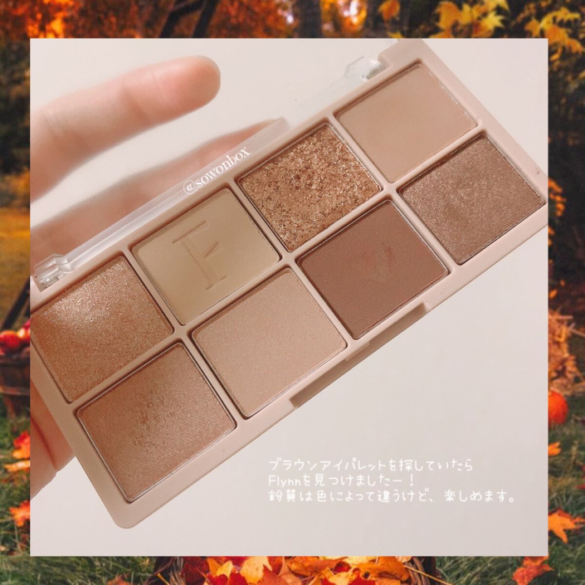 ラッスルアイシャドウパレット/Flynn/アイシャドウパレットを使ったクチコミ(2枚目)