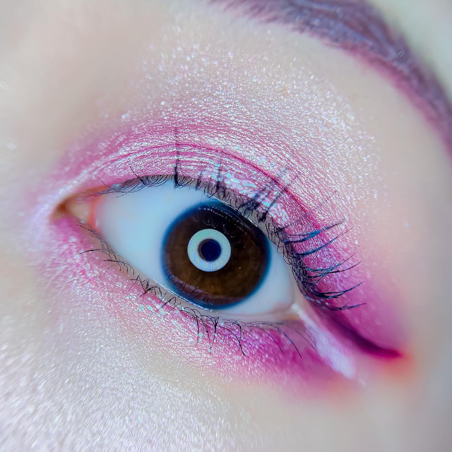 スプリング/サマー コレクション 限定アイパレット2種/shu uemura/アイシャドウパレットを使ったクチコミ（3枚目）