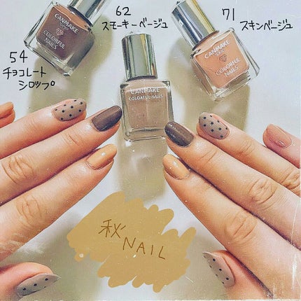 カラフルネイルズ/キャンメイク/マニキュアを使ったクチコミ(1枚目)
