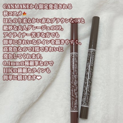 ラスティングリキッドライナー/キャンメイク/リキッドアイライナーを使ったクチコミ(3枚目)