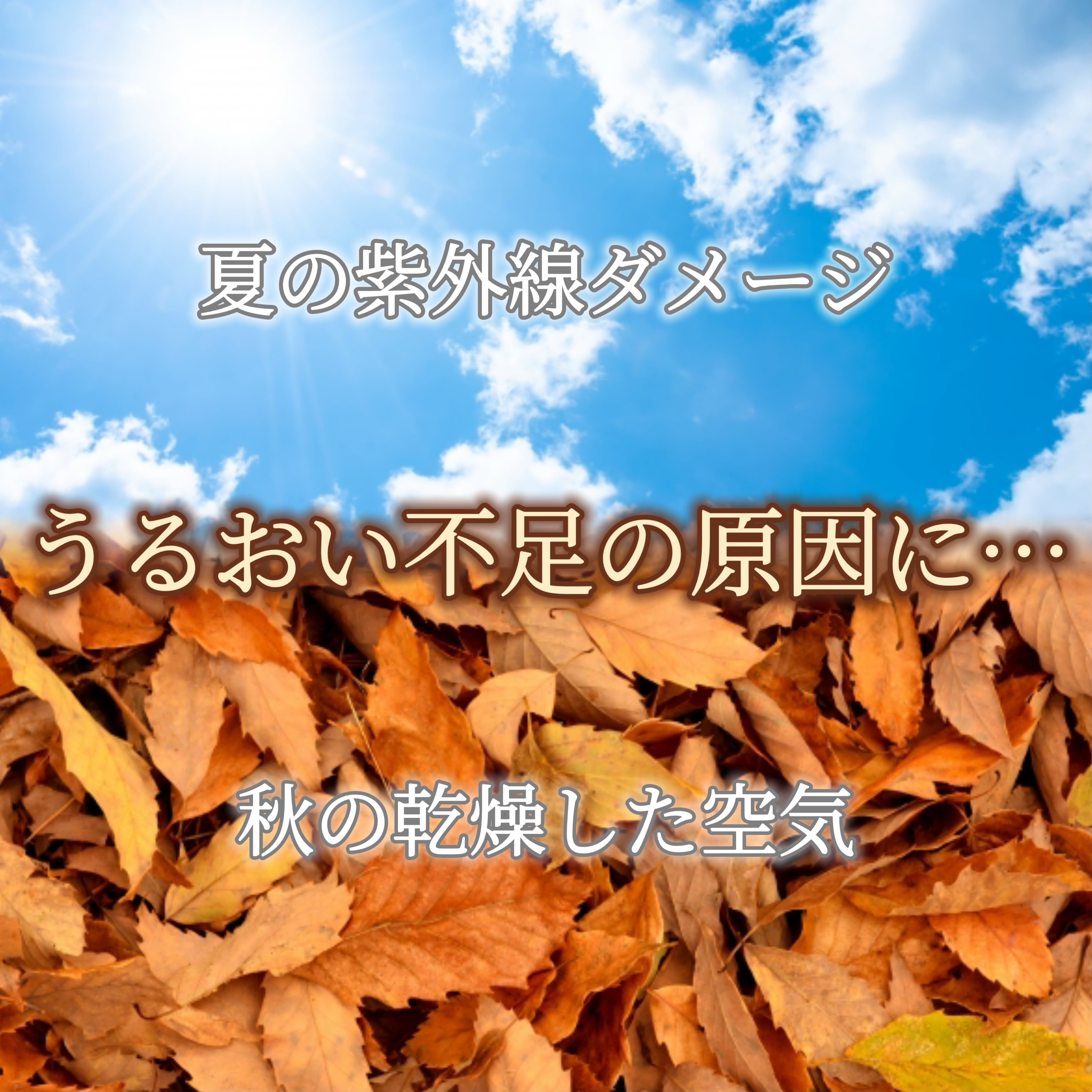 薬用ローション（とてもしっとり）/IHADA/化粧水を使ったクチコミ（2枚目）