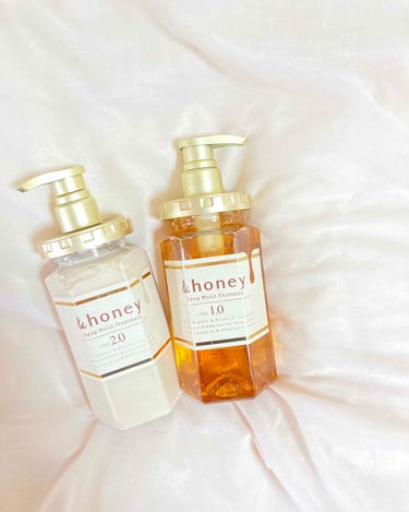 ディープモイスト シャンプー1.0／ヘアトリートメント2.0/&honey/シャンプー・コンディショナーを使ったクチコミ（1枚目）