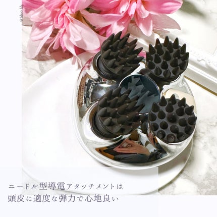 ゾーガンキンスカルプ/ZOGANKIN/ヘッドマッサージャーを使ったクチコミ(4枚目)