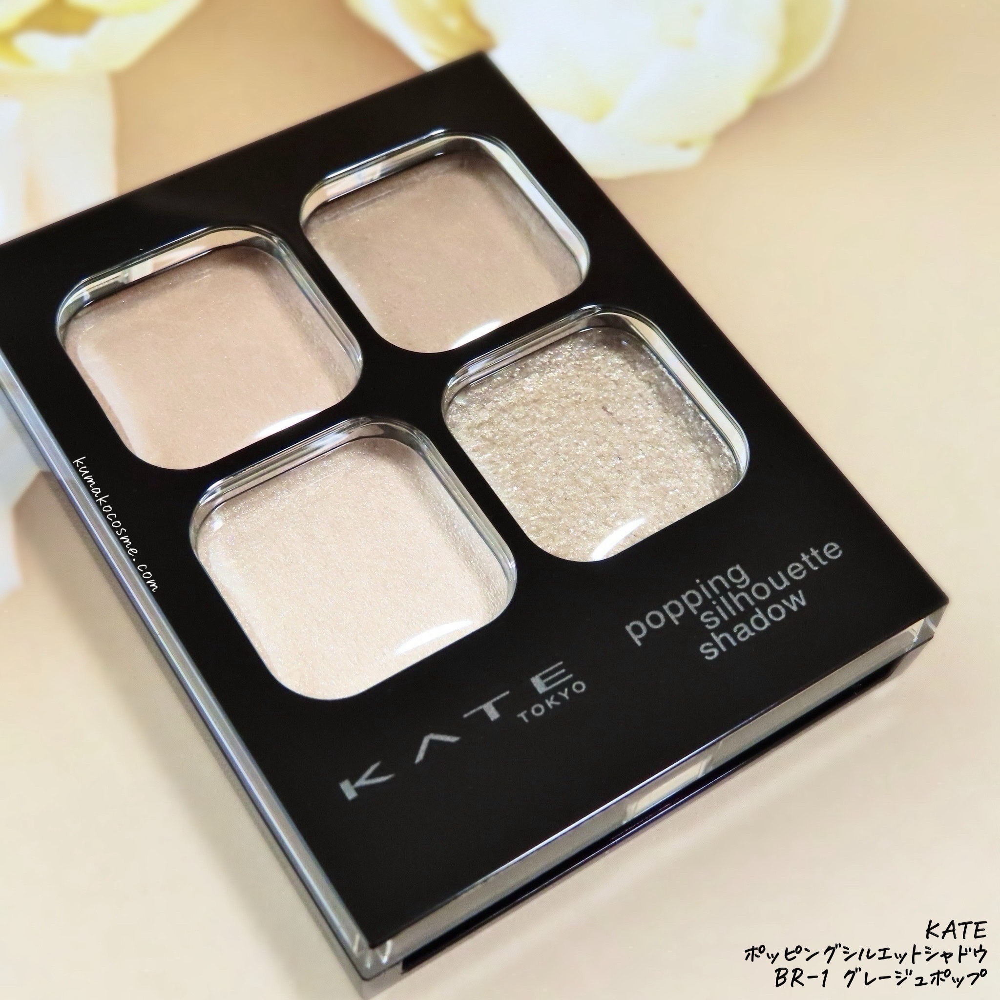 ケイト ポッピングシルエットシャドウ/KATE/アイシャドウパレットを使ったクチコミ（2枚目）