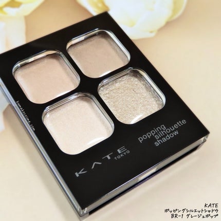 ケイト ポッピングシルエットシャドウ/KATE/アイシャドウパレットを使ったクチコミ(2枚目)