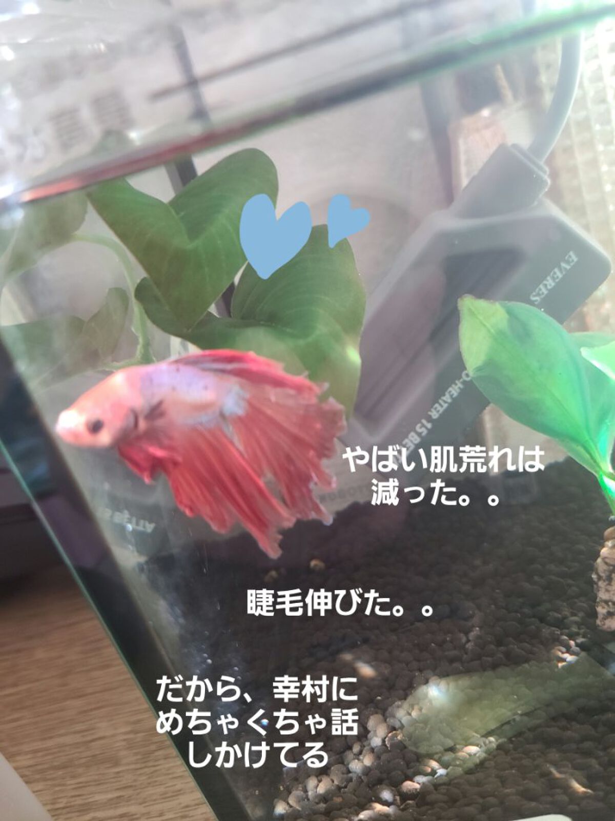 BASE BREAD/ベースフード/完全栄養食を使ったクチコミ（2枚目）