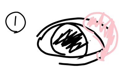 グロウスキンコンパクト/オルビス/パウダーチークを使ったクチコミ(2枚目)