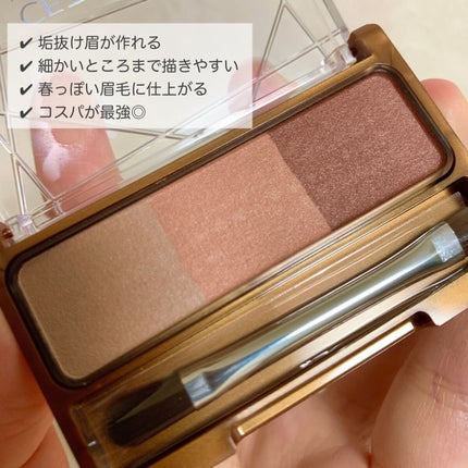 ノーズ&アイブロウパウダー/CEZANNE/パウダーアイブロウを使ったクチコミ(2枚目)