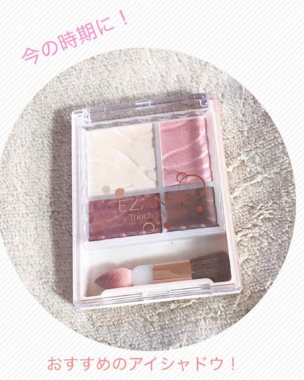 エアリータッチシャドウ/CEZANNE/アイシャドウパレットを使ったクチコミ(1枚目)