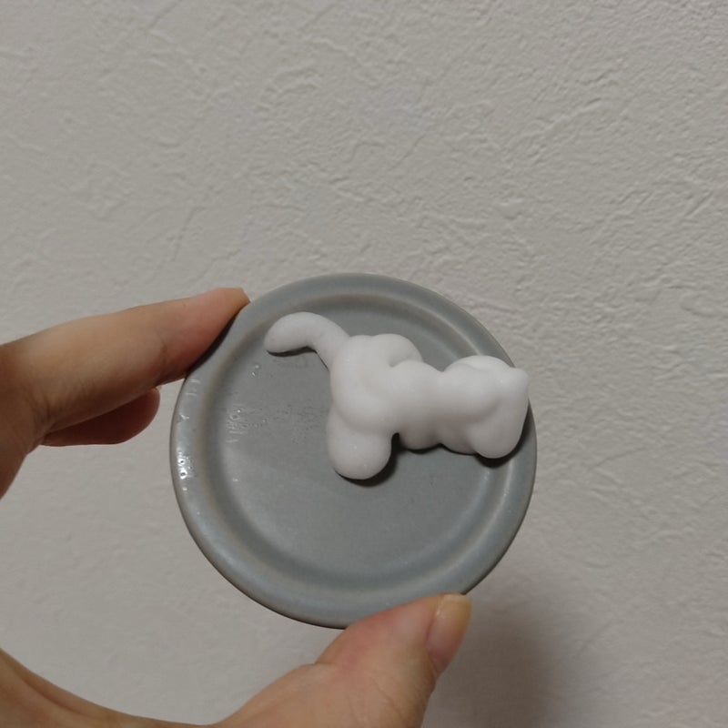 ホリーディア クリーミーリセットクレンジング/HOLIDEA/泡洗顔を使ったクチコミ(8枚目)