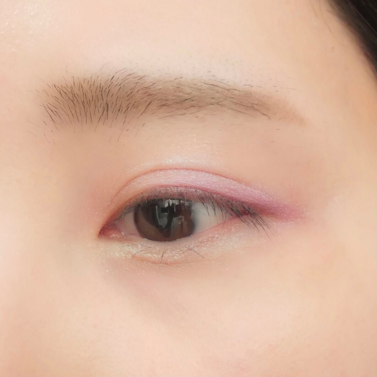 エクスプローラ12色 動物アイシャドウパレット/PERFECT DIARY/アイシャドウパレットを使ったクチコミ(10枚目)