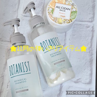 ボタニカルリフレッシュヘアケアセット（スムース）/BOTANIST/その他キットセットを使ったクチコミ（1枚目）