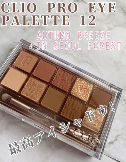 プロ アイ パレット/CLIO/アイシャドウパレットを使ったクチコミ(1枚目)