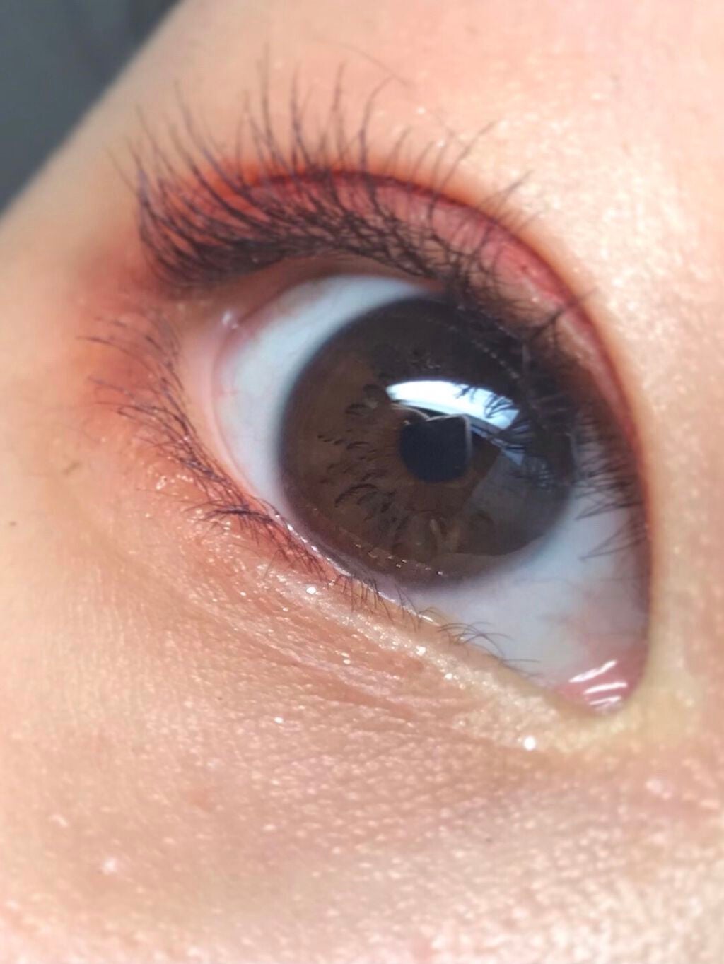 ディオール バックステージ アイ パレット/Dior/アイシャドウパレットを使ったクチコミ(1枚目)