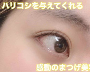 アイラッシュリポゾーン/EYEZ(アイズ)/まつげ美容液を使ったクチコミ（1枚目）