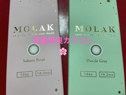 MOLAK 1day/MOLAK/ワンデー(1DAY)カラコンを使ったクチコミ(1枚目)