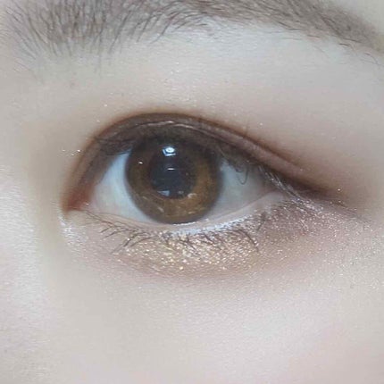 セルフィーフィックスピグメント/Witch's Pouch/単色アイシャドウを使ったクチコミ(2枚目)