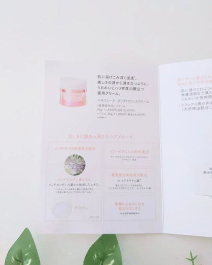 クリアバウンスクリーム /BENEFIQUE/フェイスクリームを使ったクチコミ(2枚目)