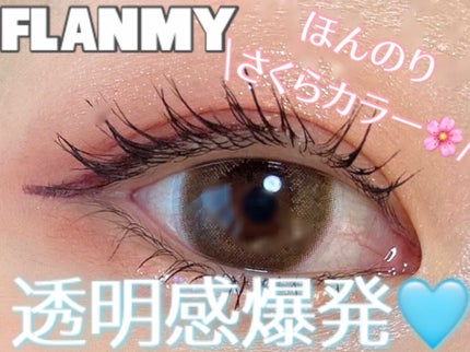FLANMY 1day/FLANMY/ワンデー(1DAY)カラコンを使ったクチコミ(1枚目)