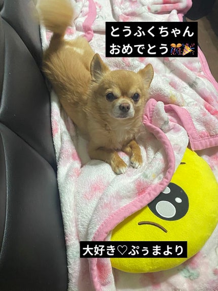 イメージ「マヤ」 アイシャドウパレット/ZEESEA/アイシャドウパレットを使ったクチコミ(7枚目)