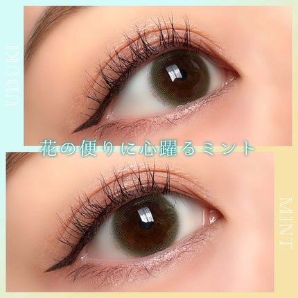 NARERU 1day/NARERU/ワンデー(1DAY)カラコンを使ったクチコミ(5枚目)