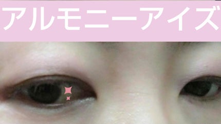 エレガンス アルモニーアイズ/Elégance/アイシャドウパレットを使ったクチコミ(2枚目)