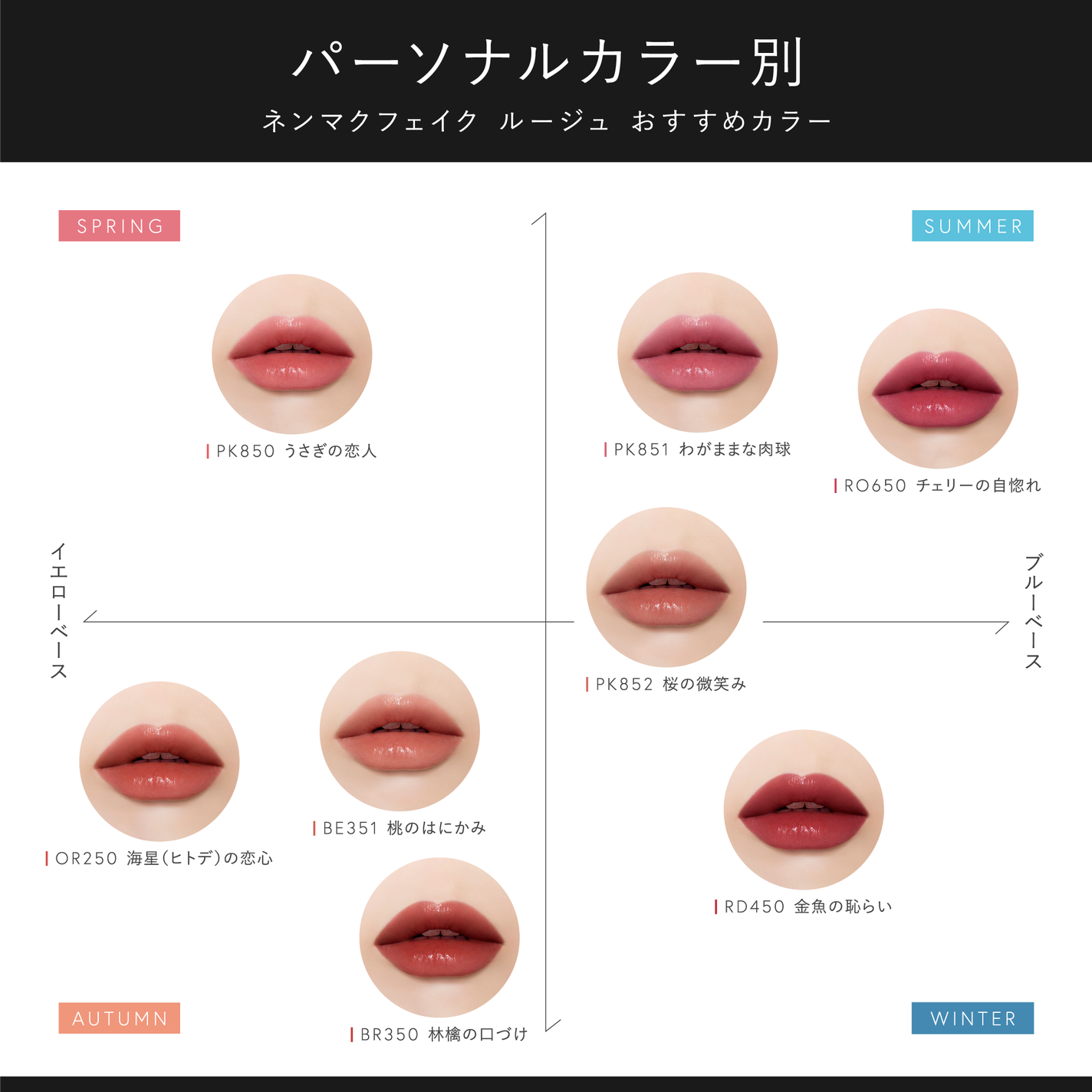 Visée(ヴィセ)Official アカウント on LIPS 「╭━━━━━━━━━━━━━━╮ 大人気の限定カラーが定番化!..」(1枚目)