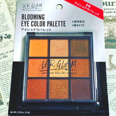 UR GLAM　BLOOMING EYE COLOR PALETTE/U R GLAM/アイシャドウパレットを使ったクチコミ（1枚目）