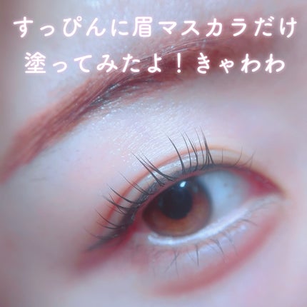 ラブ・ライナー シグネチャーフィットマスカラ MMC2<アイブロウ>/ラブ・ライナー/眉マスカラを使ったクチコミ(2枚目)