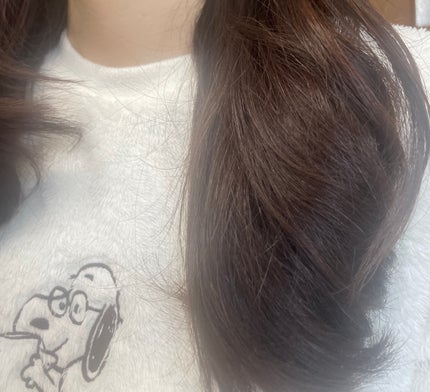 プロフェッショナルリペアリングヘアパヒュームセラム/ダルバ/ヘアミストを使ったクチコミ(5枚目)