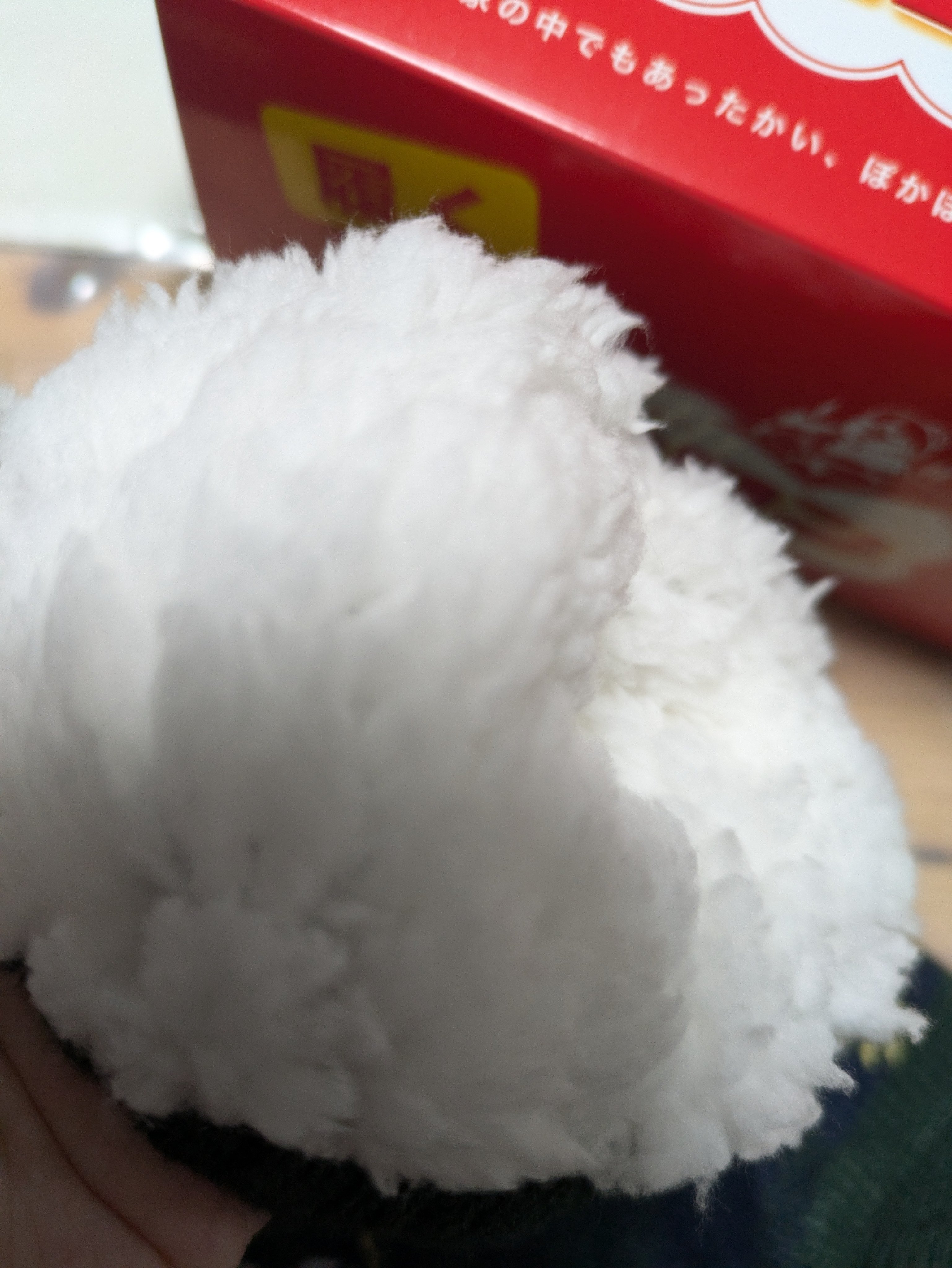 ホカロンソックス/Renfro Japan/暖かい靴下を使ったクチコミ（3枚目）