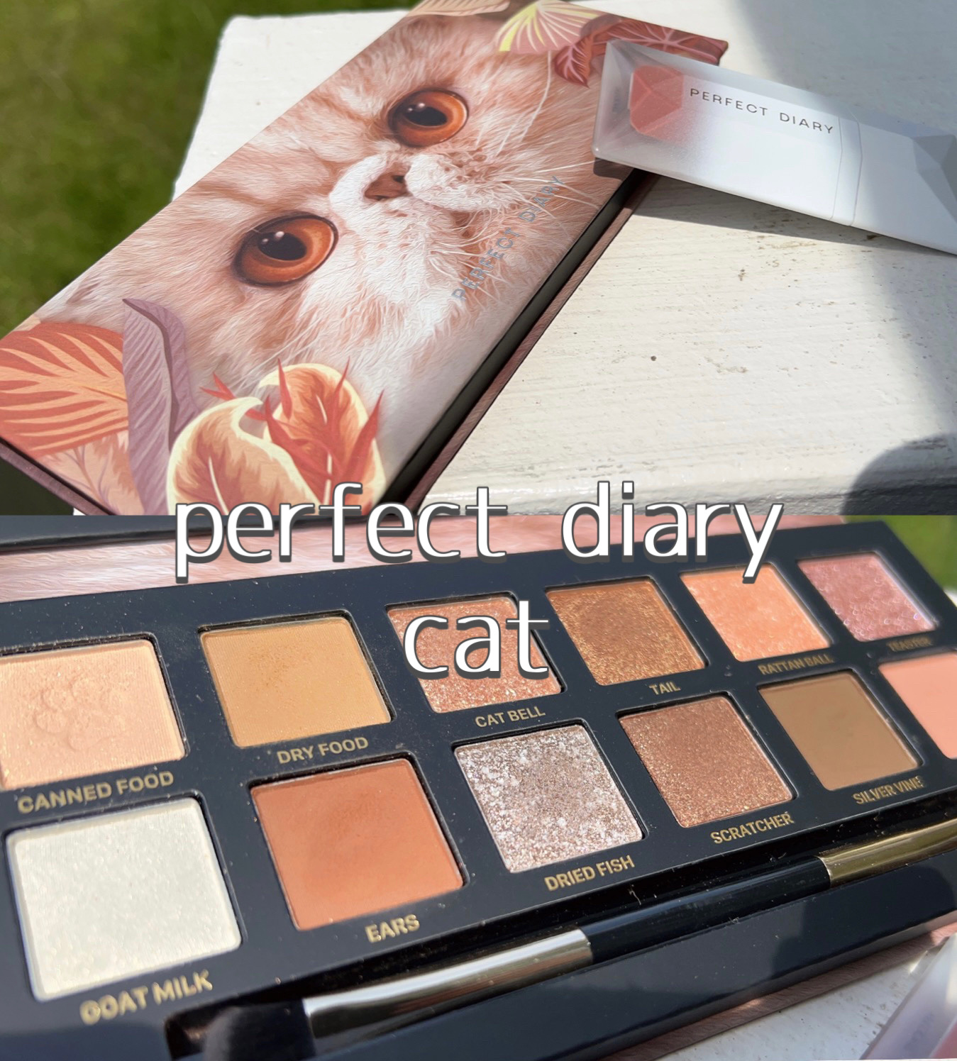 エクスプローラ12色 動物アイシャドウパレット/PERFECT DIARY/アイシャドウパレットを使ったクチコミ（2枚目）