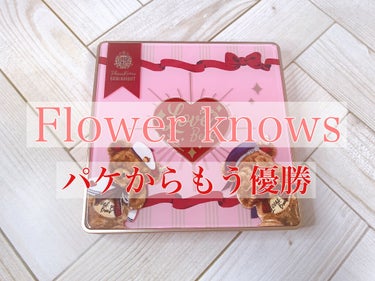 Love Bear 9色 アイシャドウパレット/FlowerKnows/アイシャドウパレットを使ったクチコミ（1枚目）