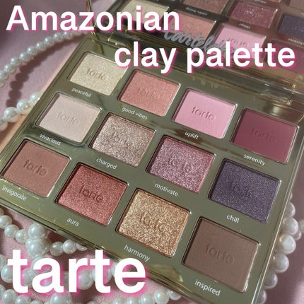 タルトレット E  アマゾニアンクレイ パレット/tarte/アイシャドウパレットを使ったクチコミ(1枚目)