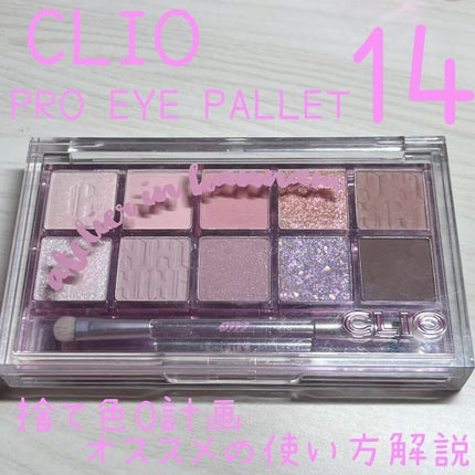プロ アイ パレット/CLIO/アイシャドウパレットを使ったクチコミ(1枚目)