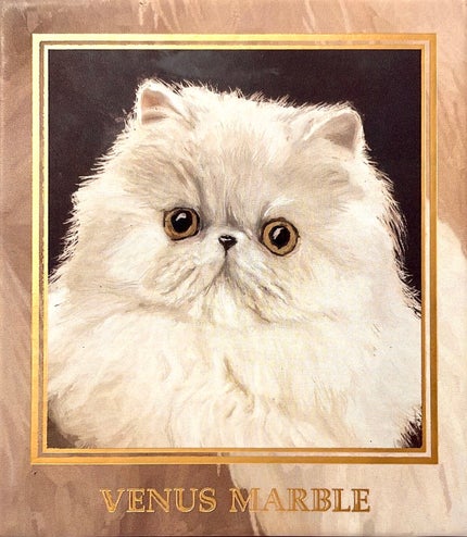 Venus Marble アイシャドウキャットシリーズ/Venus Marble/アイシャドウパレットを使ったクチコミ(1枚目)