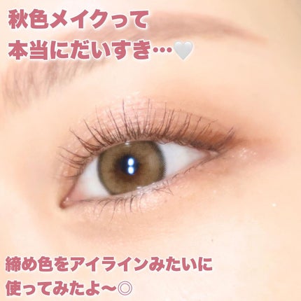 パーフェクトスタイリストアイズ/キャンメイク/アイシャドウパレットを使ったクチコミ(8枚目)