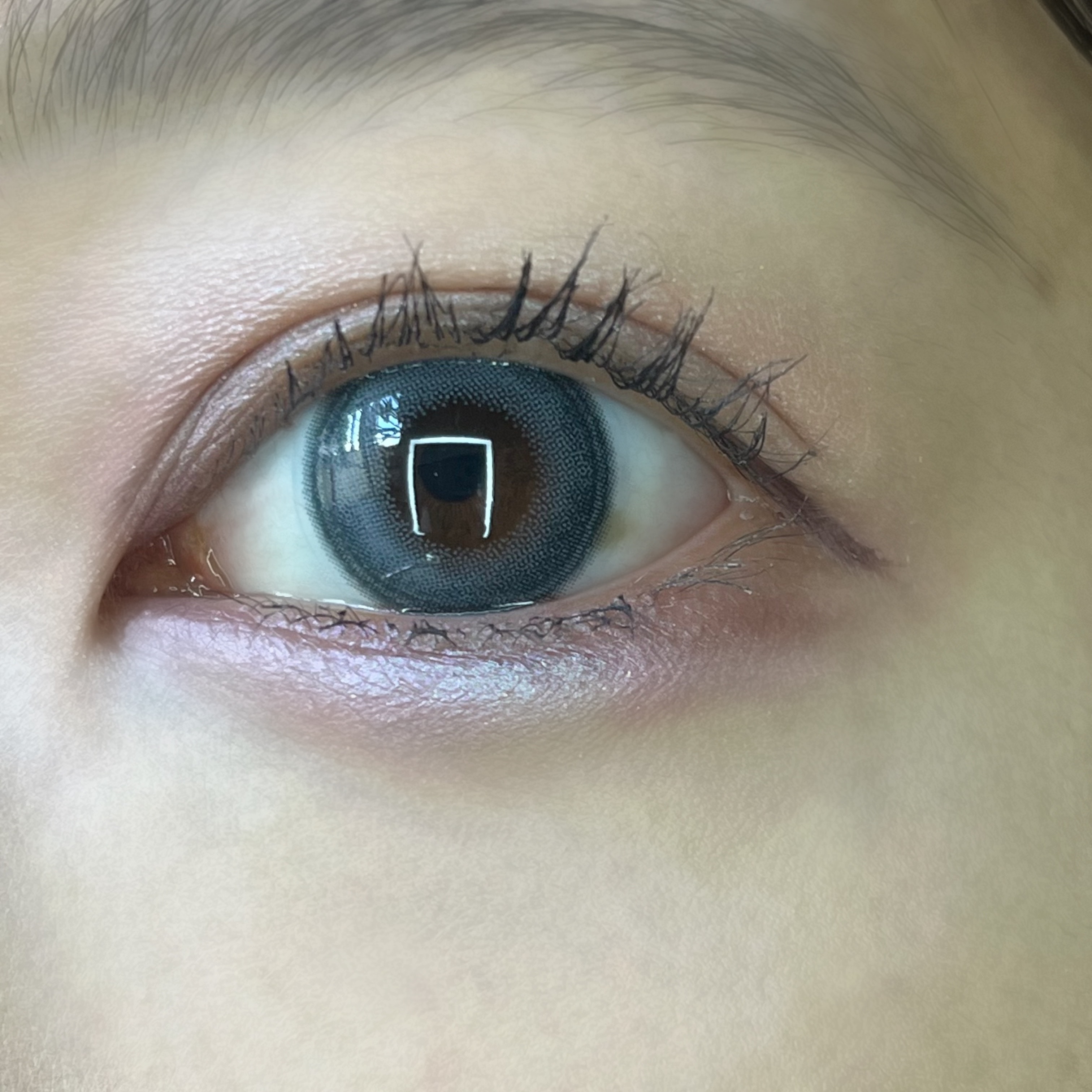 シグニチャー カラー アイズ/SUQQU/アイシャドウパレットを使ったクチコミ（2枚目）