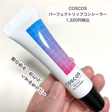 パーフェクトリップコンシーラー ナチュラルベージュ/COSCOS/コンシーラーを使ったクチコミ（2枚目）