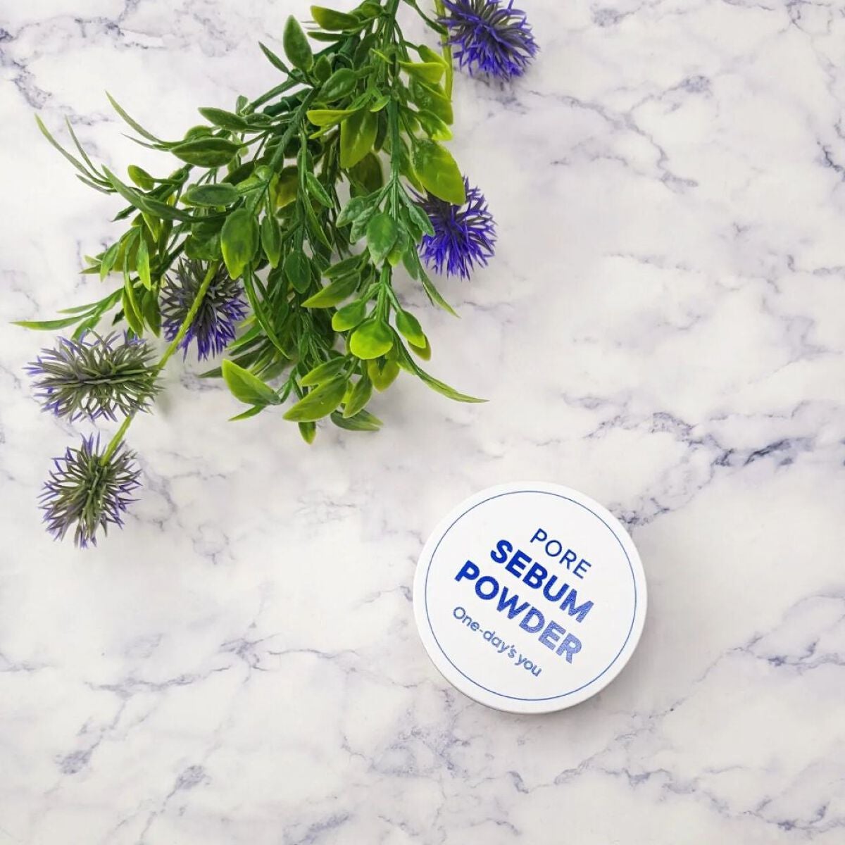 ポアセバムパウダー/One-day's you/ルースパウダーを使ったクチコミ(1枚目)