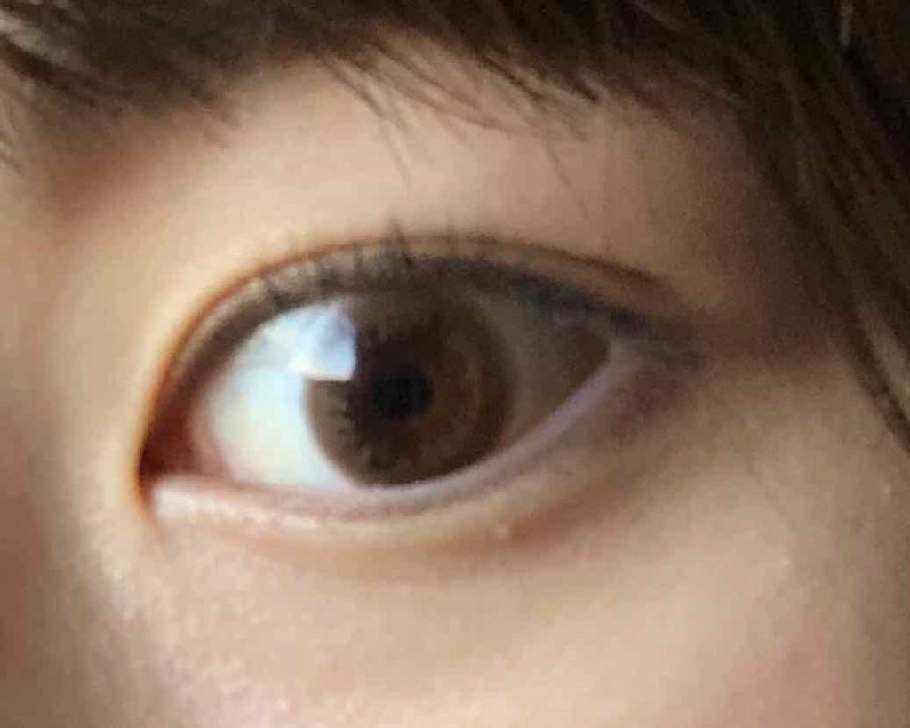 ワンデーリフレアビジューブラウン1/Refrear/ワンデー（１DAY）カラコンを使ったクチコミ（2枚目）