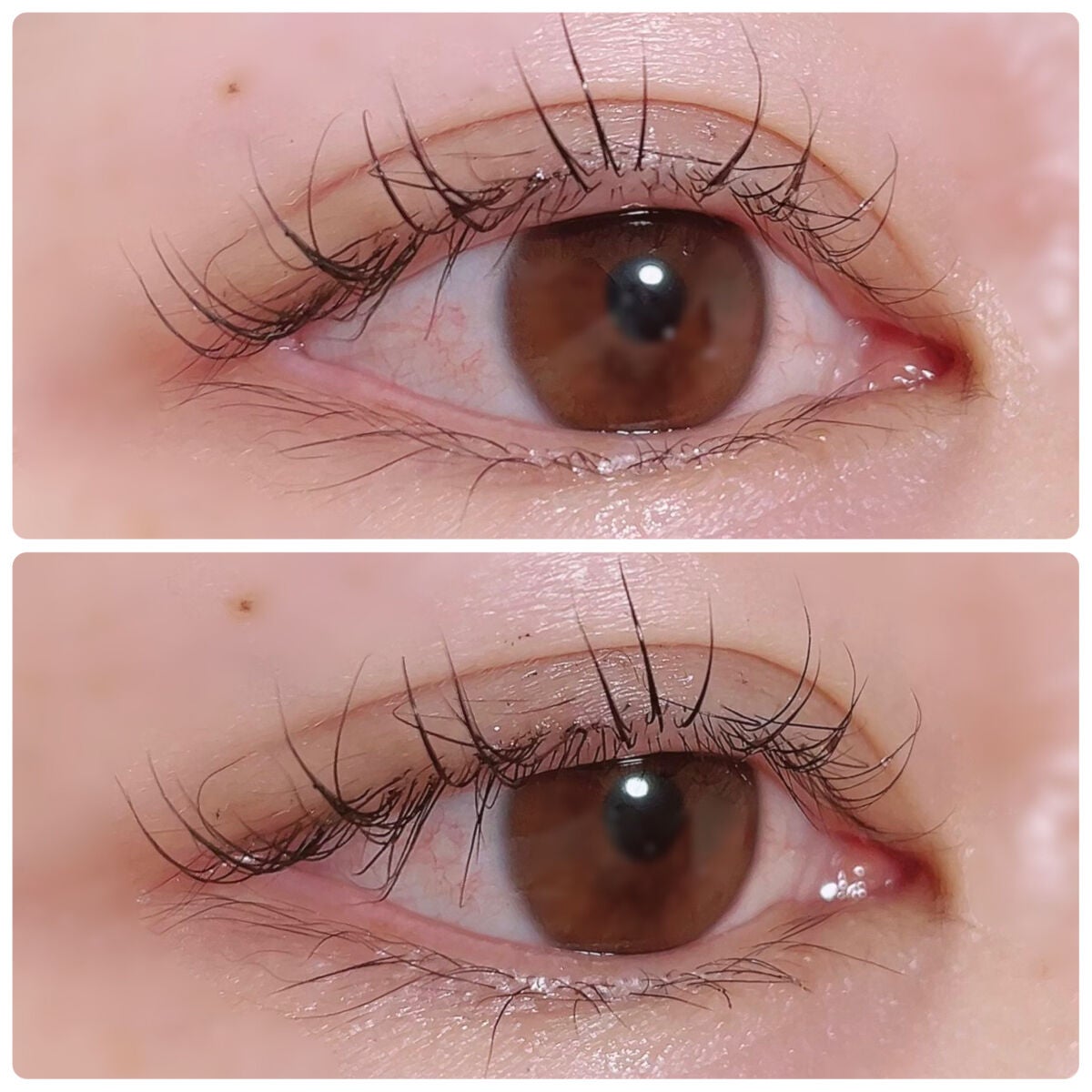 B7アイラッシュリッチセラム/at.ginza/その他スキンケアを使ったクチコミ(3枚目)