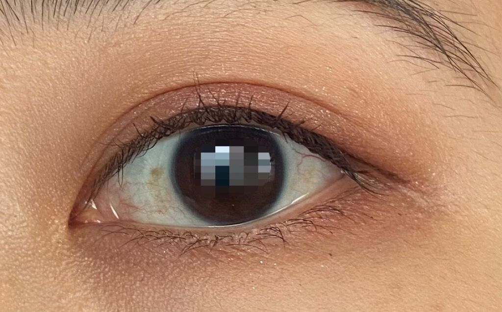 シグニチャー カラー アイズ/SUQQU/アイシャドウパレットを使ったクチコミ(2枚目)